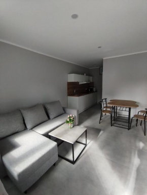 Apartamenty przy jeziorze